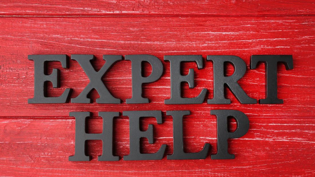 The Best Leaders Are Technical Experts: Leveraging Expertise for Organizational Success